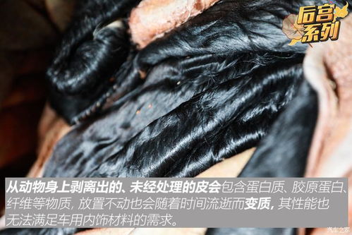 皮革之旅 一 让你分辨真假不再靠猜